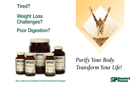 Purification 20Program